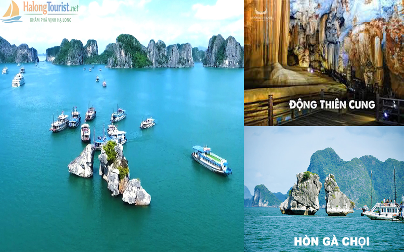 Tuyến tham quan Vịnh Hạ Long số 1 – Động Thiên Cung và hòn Gà Chọi