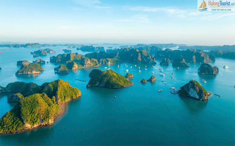 Toàn cảnh Vịnh Hạ Long nhìn từ trên cao