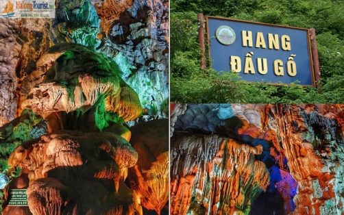 Khám phá Động Thiên Cung - Hang Đầu Gỗ