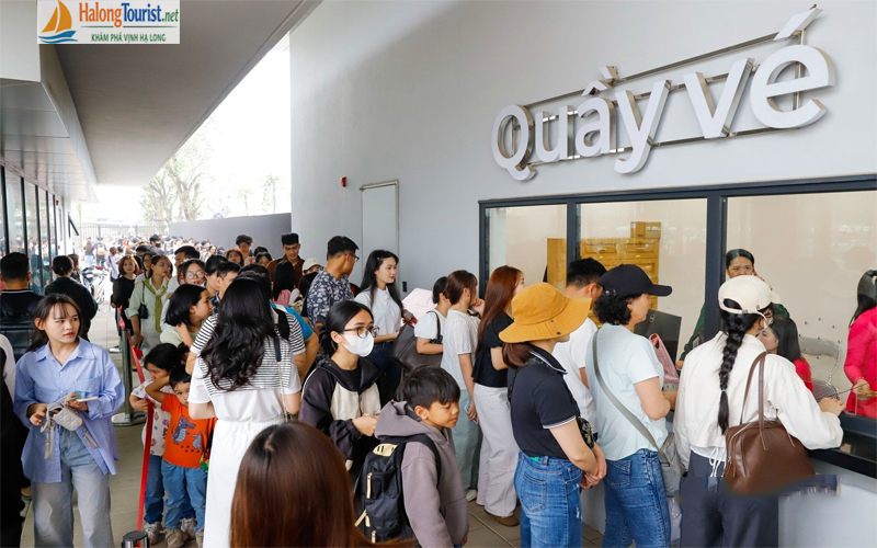 Giá vé tham quan Bảo tàng Hạ Long theo từng đối tượng