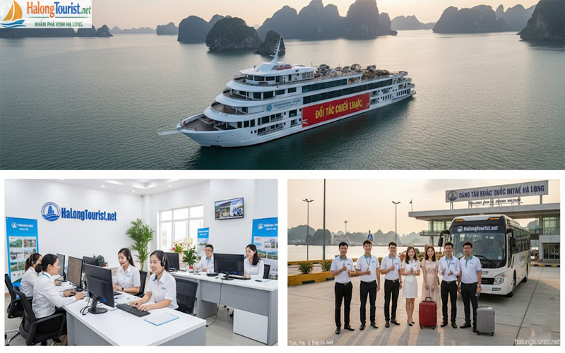 halongtourist.net – đơn vị tổ chức tour Hạ Long uy tín