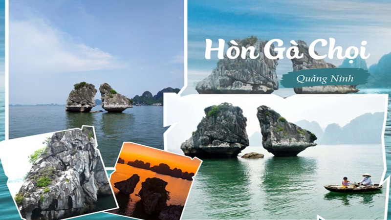 Lịch trình tham quan Vịnh Hạ Long 1 ngày với Hòn Gà Chọi