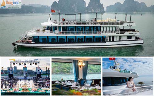 Nội thất du thuyền 5 sao Hạ Long hiện đại và sang trọng