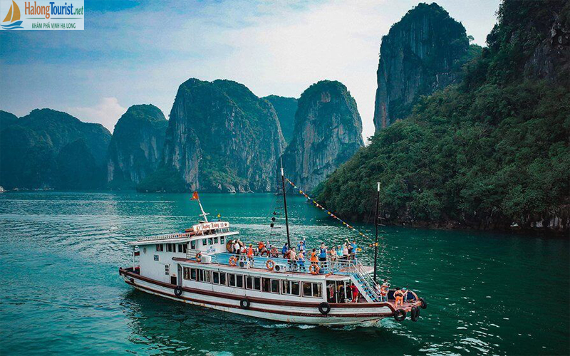 Tàu du lịch trong ngày tham quan Vịnh Hạ Long