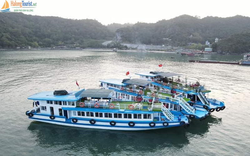Tàu ghép tham quan Vịnh Lan Hạ