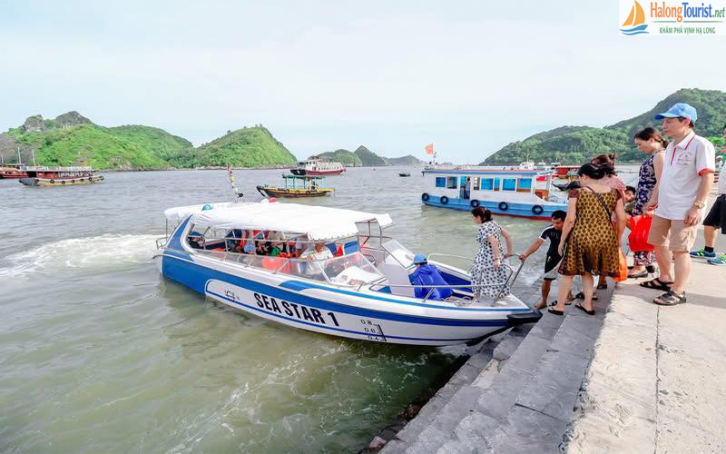 Thuê cano cao tốc tham quan Vịnh Lan Hạ