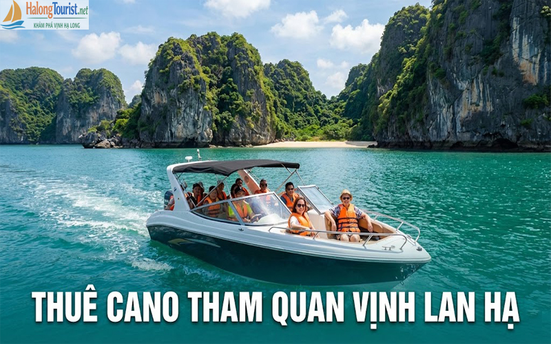 Thuê cano tham quan Vịnh Lan Hạ