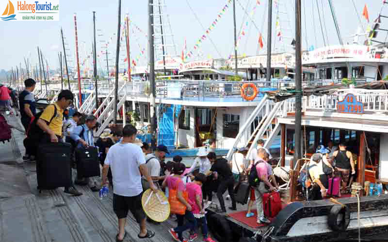 tour tàu ghép Hạ Long truyền thống