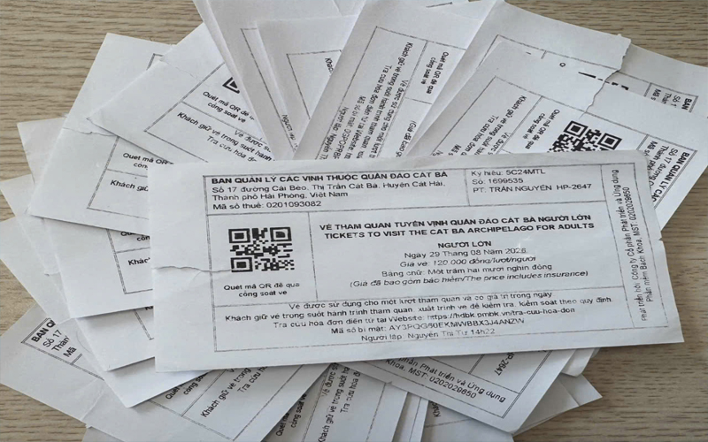 Vé tham quan Vịnh Hạ Long trong ngày