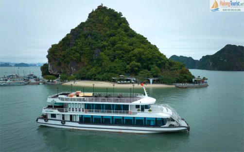 Overview V-Dream-cruise