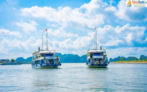 Du thuyền Queen Hạ Long