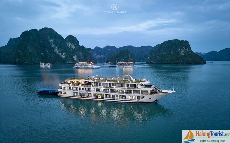 Du Thuyền Aqua Elegance Hạ Long 5 sao