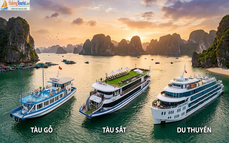 tàu gỗ và du thuyền Hạ Long