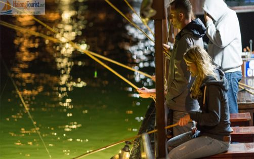 Trải nghiệm Câu mực ban đêm trên du thuyền