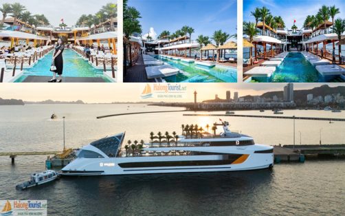 Du khách check-in trên sundeck du thuyền Dolphin Cruise