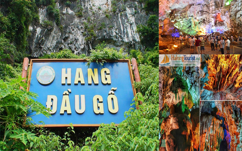 Hang Đầu Gỗ - Động Thiên Cung với nhũ đá kỳ ảo tại Vịnh Hạ Long