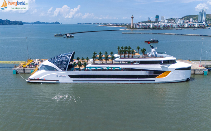Du Thuyền Dolphin Hạ Long