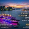 Du Thuyền Paradise Delight Hạ Long 4 tiếng