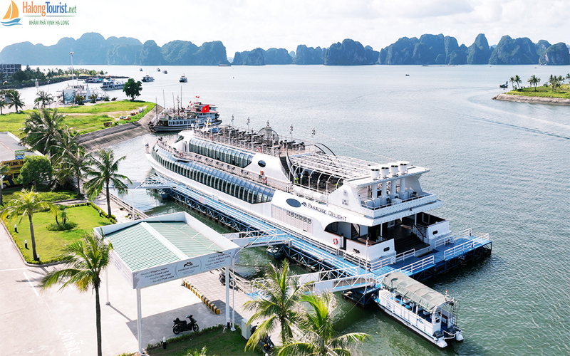 Du thuyền Paradise Delight Hạ Long