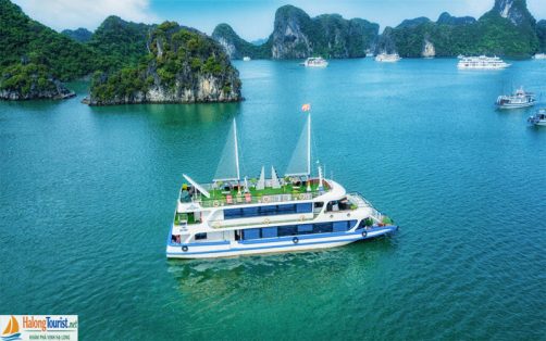 Du Thuyền Queen Cruise