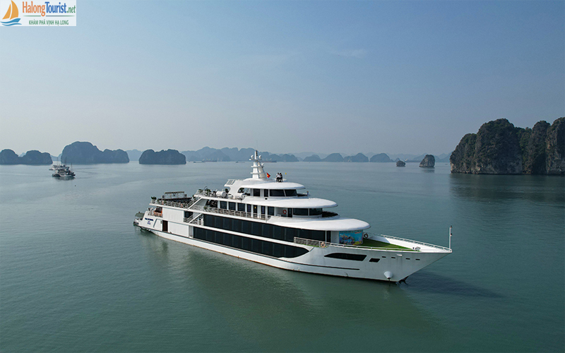 Du thuyền Sea Octopus Hạ Long
