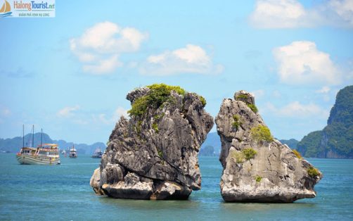 Hòn Gà Chọi biểu tượng của Vịnh Hạ Long