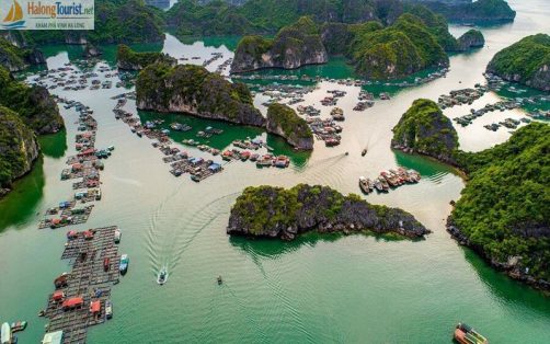 Làng chài Cái Bèo Cát Bà Hải Phòng