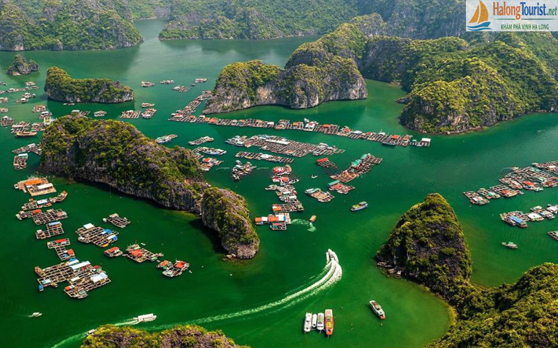 Làng chài Cái Bèo với những nhà bè nổi trên biển