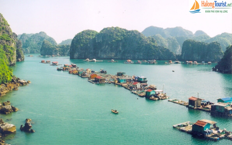 Làng chài Cửa Vạn – làng chài nổi nổi tiếng tại Vịnh Hạ Long