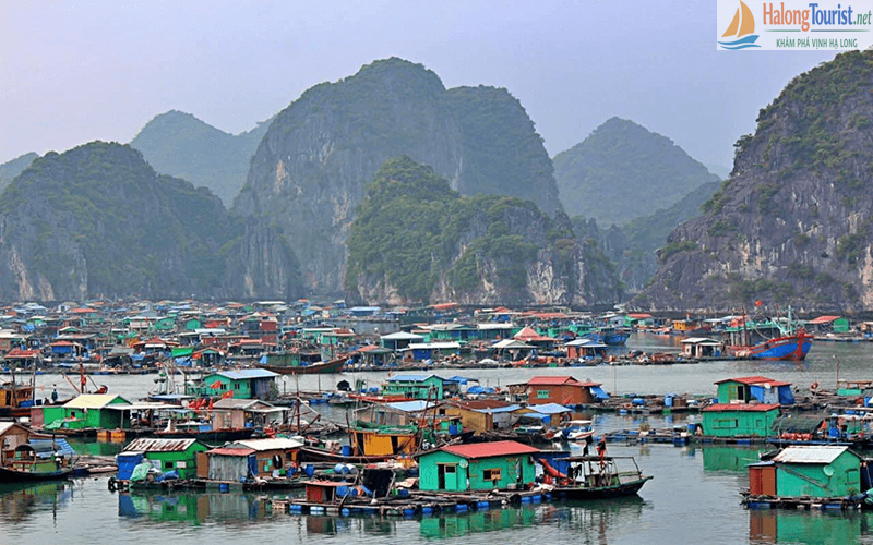 Làng chài nổi của ngư dân trên Vịnh Lan Hạ