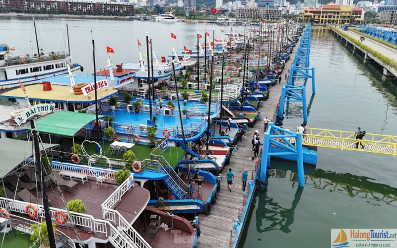 Tàu du lịch Hạ Long 4 tiếng- 6 tiếng trong ngày