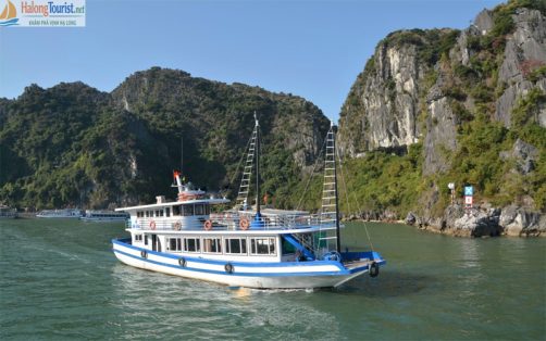 Tàu thăm Vịnh Hạ Long trong ngày: 4 tiếng - 6 tiếng
