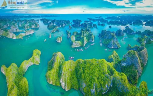 Vịnh Lan Hạ Cát Bà một trong những vịnh đẹp nhất thế giới