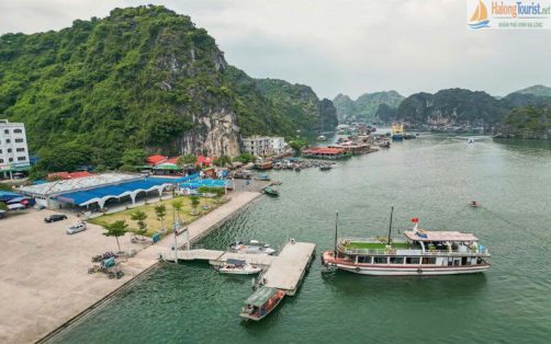 Bến Bèo Cát Bà nơi khởi hành tour Lan Hạ