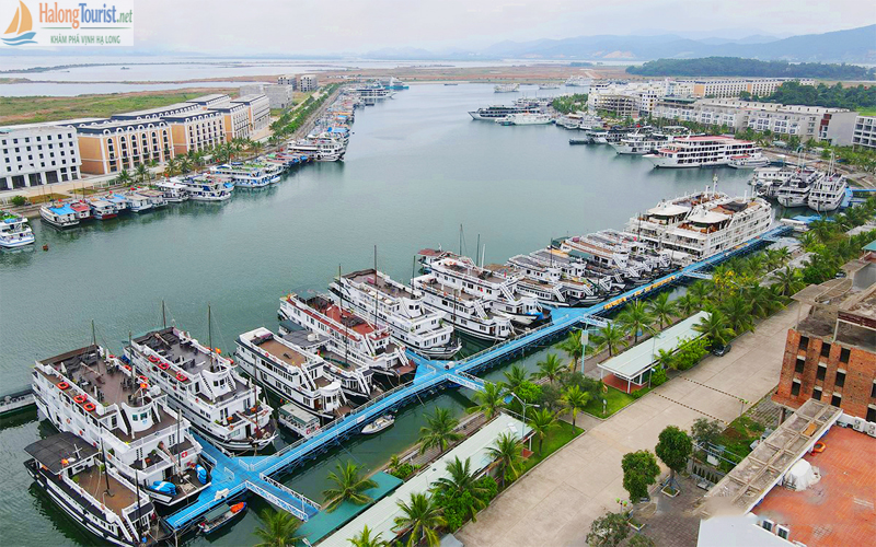 Tàu du lịch tham quan Vịnh Hạ Long trong ngày