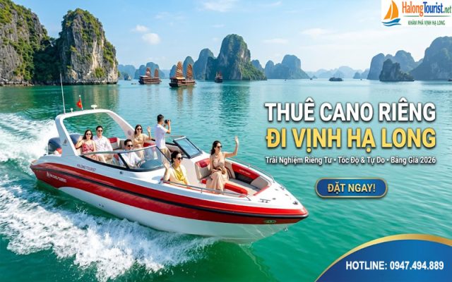 Giá thuê cano Vịnh Hạ Long mới nhất