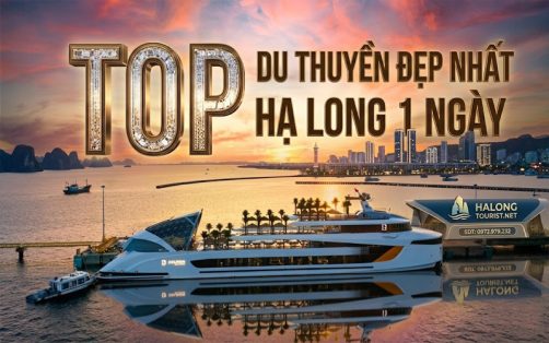 Top Du thuyền đẹp nhất Hạ Long 1 ngày