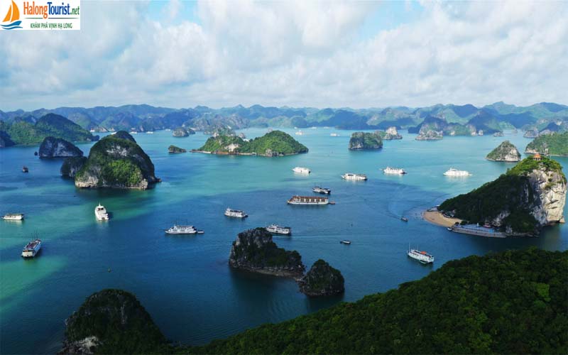 Toàn Cảnh Vịnh Hạ Long