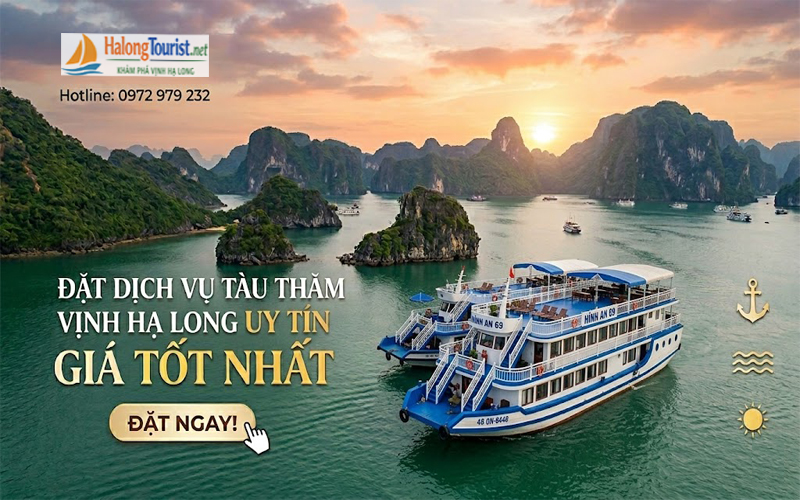 Đặt dịch vụ tàu thăm Vịnh Hạ Long uy tín, giá tốt nhất