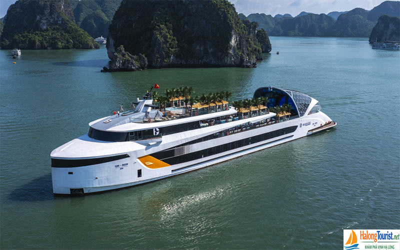 Du thuyền Dolphin ăn Tối Vịnh Hạ long